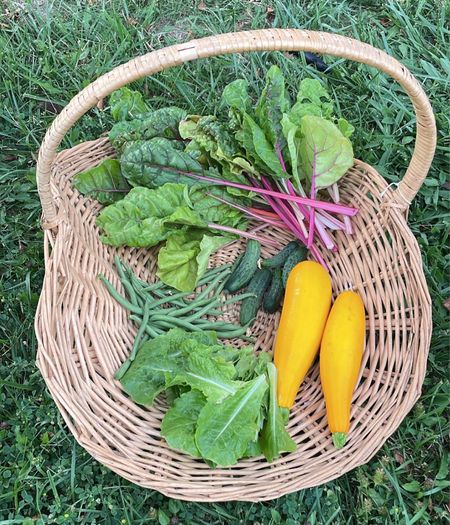 The perfect harvest basket for your veggie garden! 

#LTKhome #LTKSeasonal #LTKFind