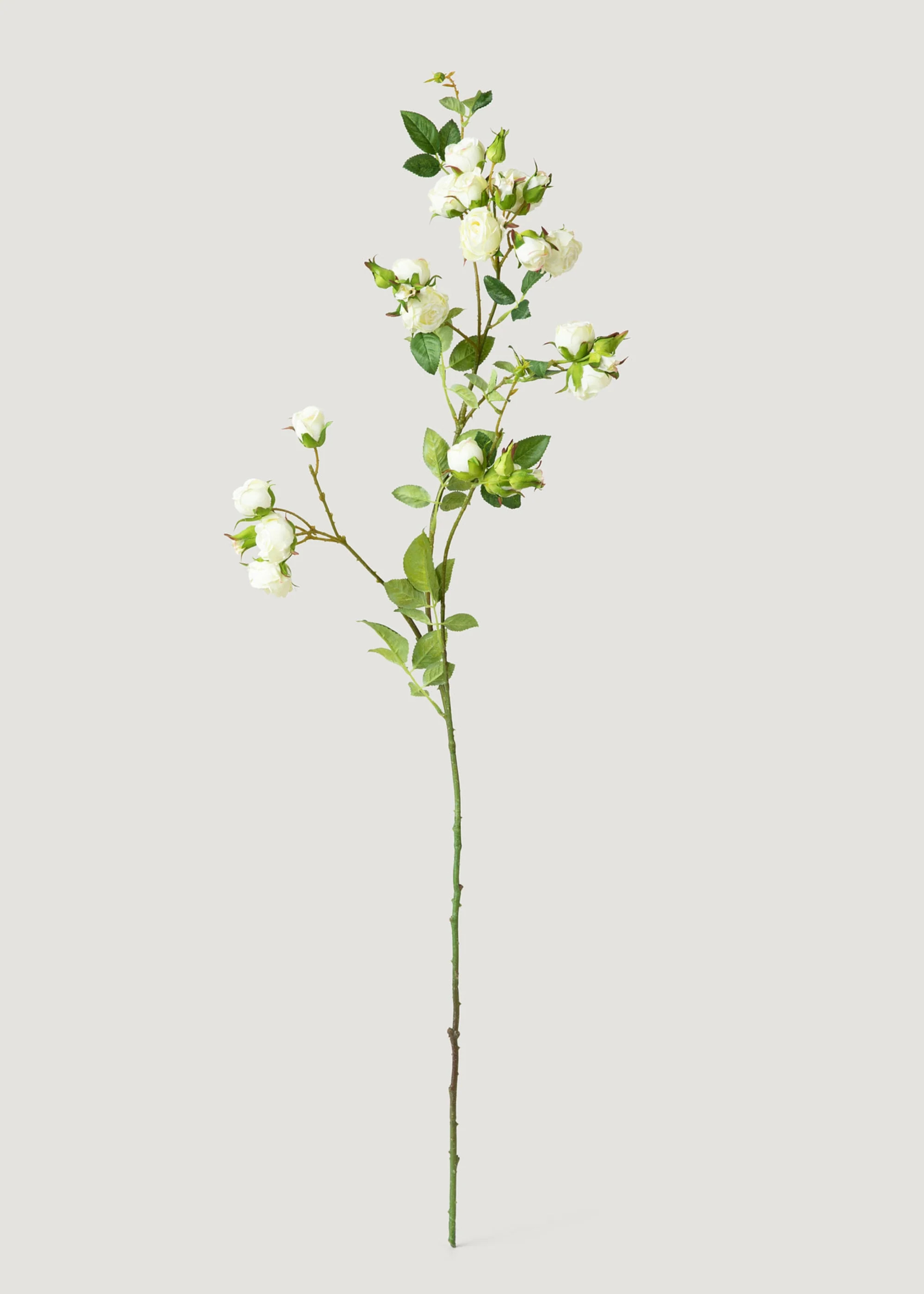 Faux Rose Branch in Cream White | Luxe Artificial Flowers | Afloral | Afloral