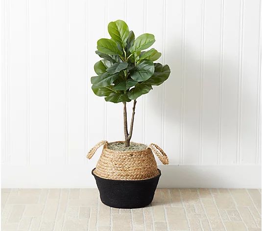 Nearly Natural 3' Faux Fiddle Leaf Fig Tree w/ Basket DIY Kit - QVC.com | QVC