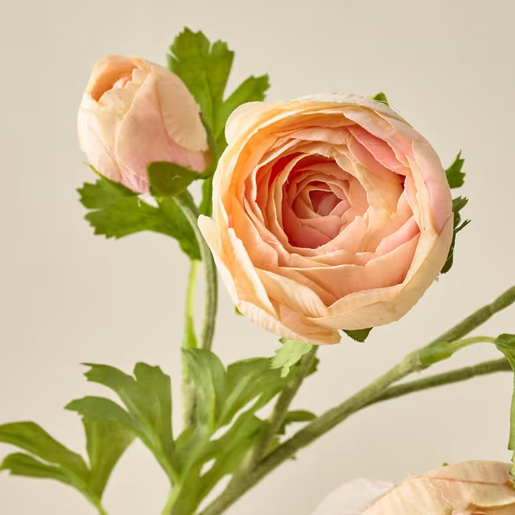 Shop, Watch, Blog, & Visit Magnolia | Magnolia