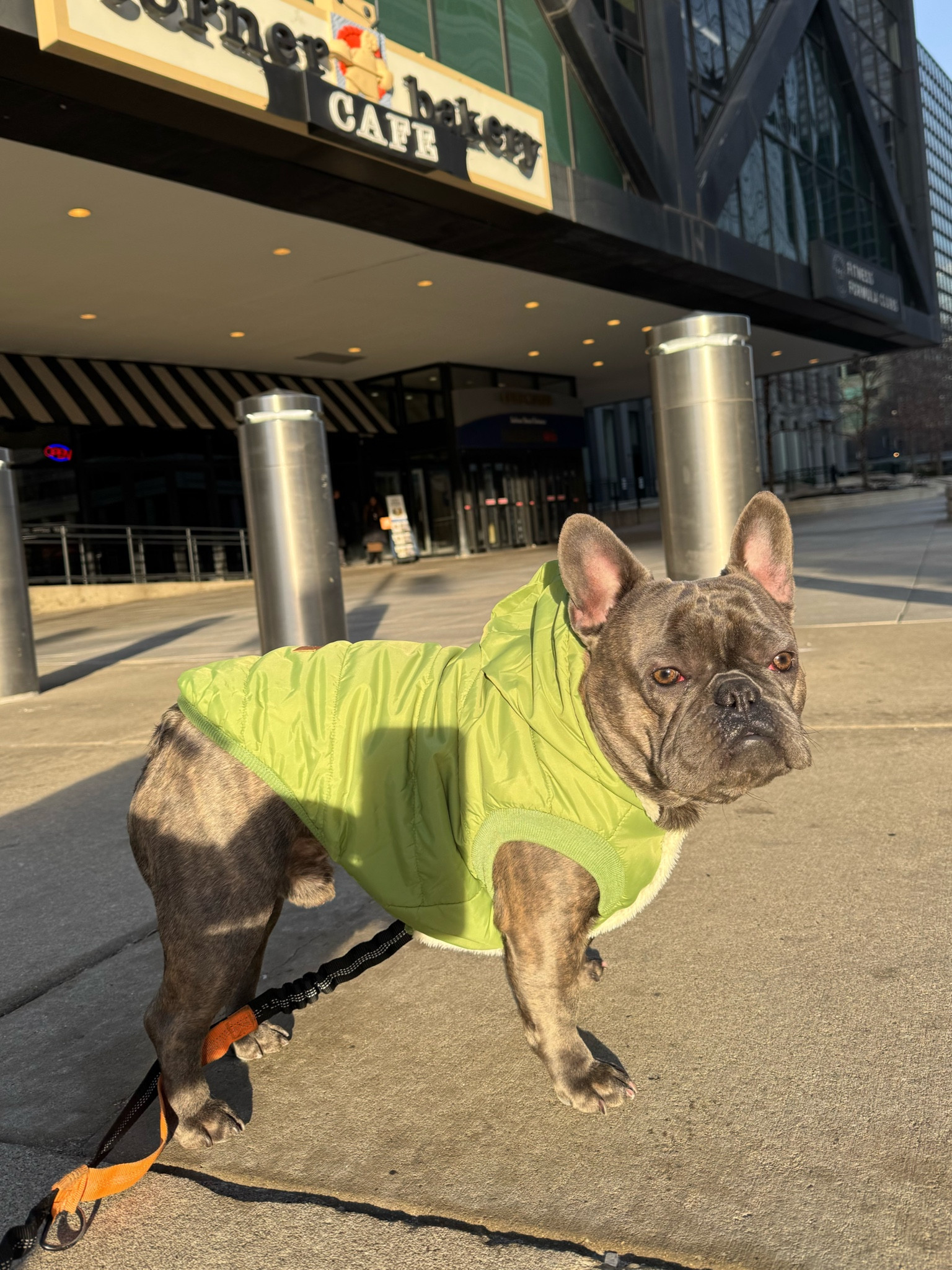 King Louis is all set for winter in his cozy green coat! This hooded beauty has fur on the inside, keeping him extra warm and stylish. Bonus: it’s super easy to put on, so we’re ready for walks in no time! 🐾💚 #DogStyle #WinterReady

Dog coat, French bulldog, frenchie fashion, green dog coat, hooded dog coat, fur lined coat, dog fashion, winter dogwear, easy to put on dog coat, cute dog clothes, dog sweater, winter outfit for dogs, cozy dog jacket, French bulldog coat, stylish dog clothes, dog accessories

#LTKStyleTip #LTKSeasonal