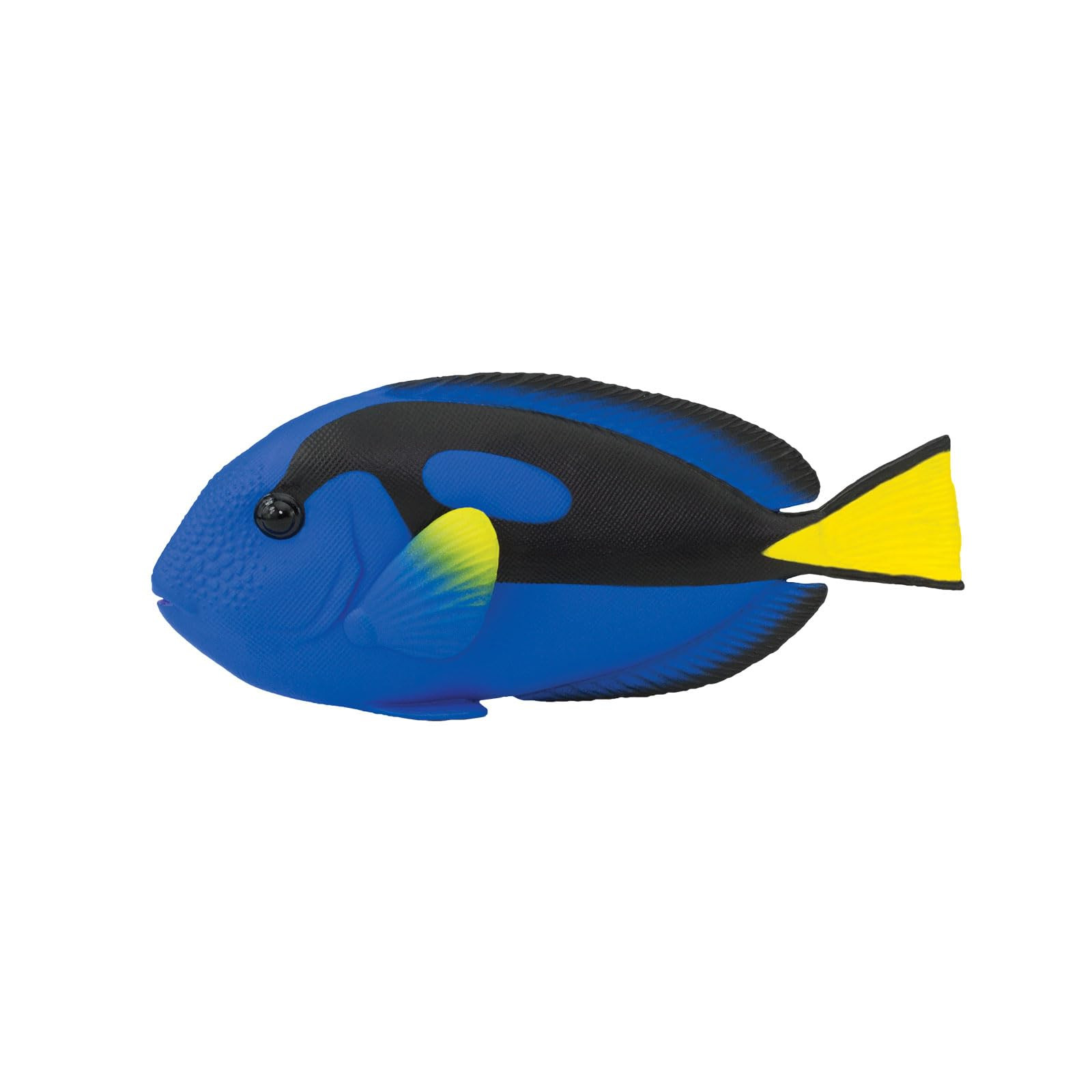 Safari Ltd. Blue Tang Figurine - Detailed 4.75" Plastic Model Figure - Fun Educational Play Toy f... | Amazon (US)