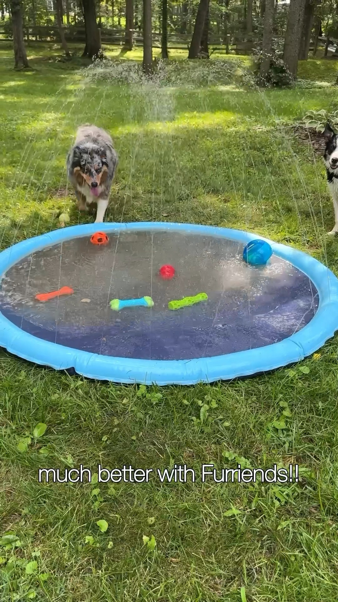 Dog Splash Pad
One of our best Amazon purchases! 
Easily hooks up to your garden hose for endless summer fun for your fur babies. 

Comes in a variety of sizes. Ours is the 67” 

#LTKSeasonal #LTKBaby #LTKFamily