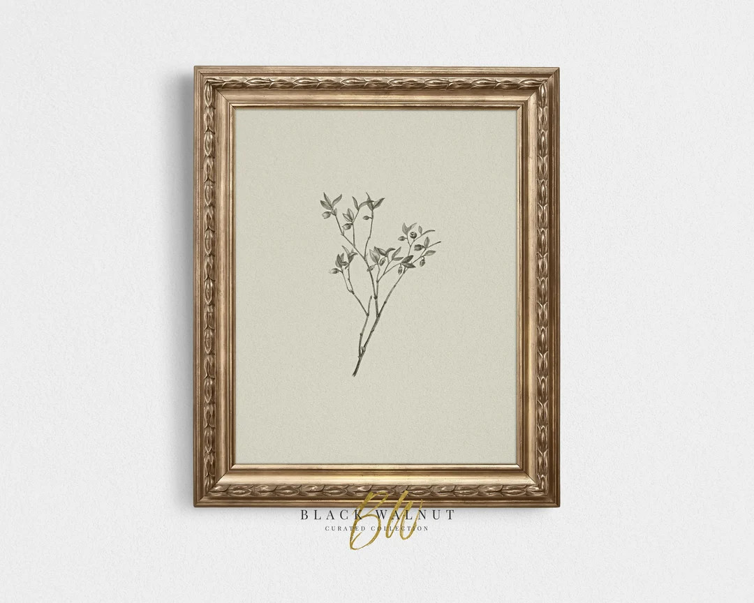 PRINTABLE Botanical Sketch, Vintage Minimal Drawing, Antique Leaf Sketch, Digital Vintage Line Ar... | Etsy (US)