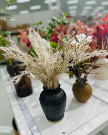 Transform your space with the stunning fall grass arrangement from Target! 🍂🌾 #TargetFinds #FallDecor

#LTKhome #LTKfamily #LTKSeasonal