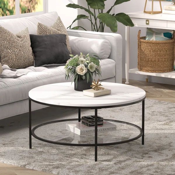 Ceinna 4 Legs Coffee Table with Storage | Wayfair North America