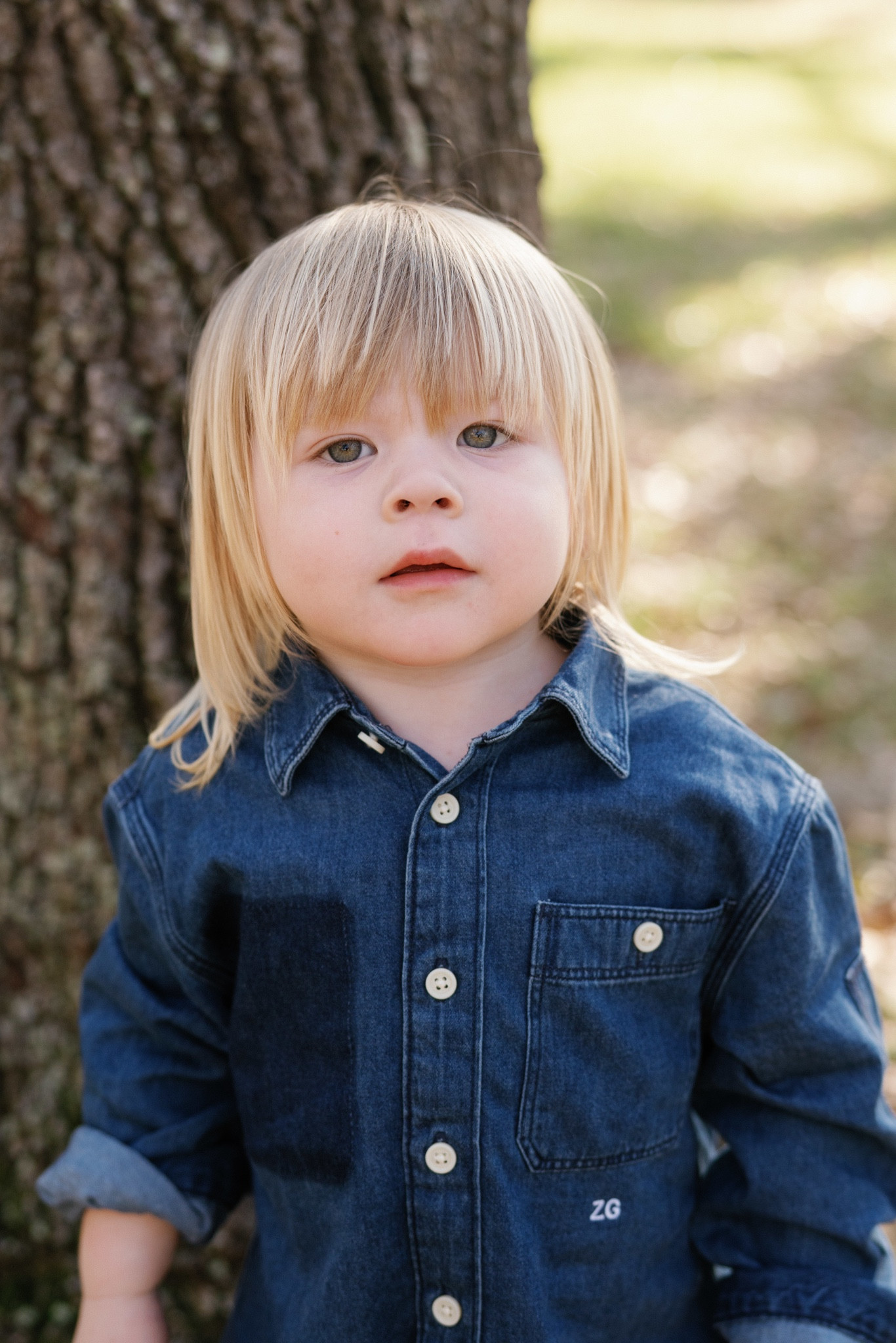 Holiday look for toddler boys

#LTKFindsUnder100 #LTKHoliday #LTKKids