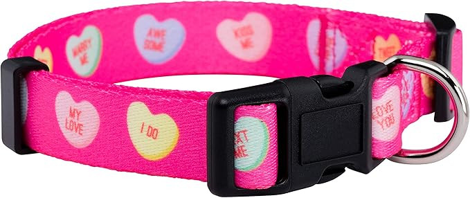 Native Pup Valentine’s Dog Collar- Valentines Day Pet Collars- Valentine Girly Hearts- Pink Red... | Amazon (US)