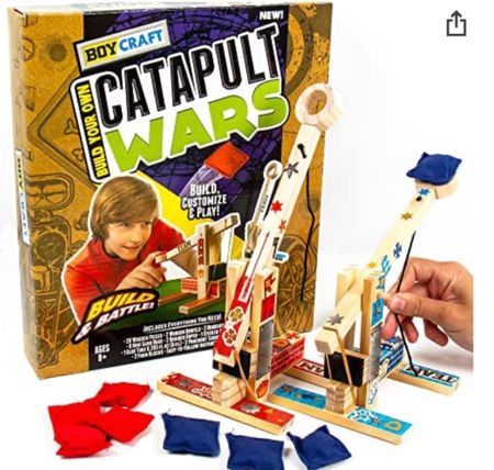 Catapult wars ended up on my son’s Christmas wish list. Only $12 and a fun diy project with a side of competition!



#LTKGiftGuide #LTKCyberweek #LTKHoliday