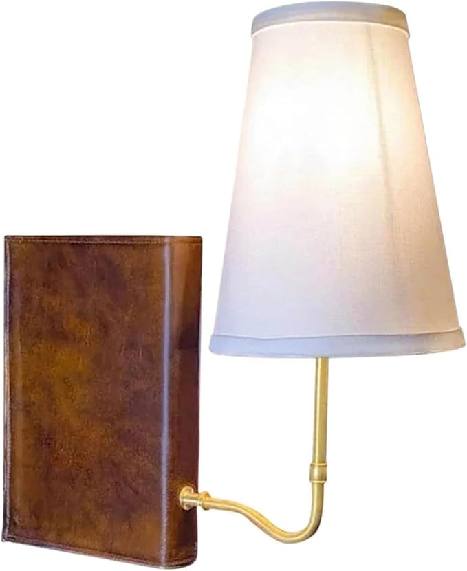 Bookshelf Lamp for Library Shelf, Classic Desk Book Shelf Light Bookend Table Lamp Vintage Office... | Amazon (US)