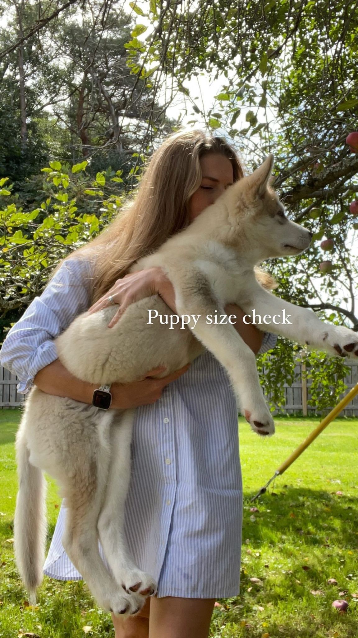 Oxford shirt dress 

Ootd, casual, work from
Home, wfh, fall fashion, long sleeve  dress 

#LTKWorkwear #LTKFindsUnder100