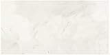 Dal-Tile M190361U First Snow Elegance HONED Marble Tile x 11 7/8 | Amazon (US)