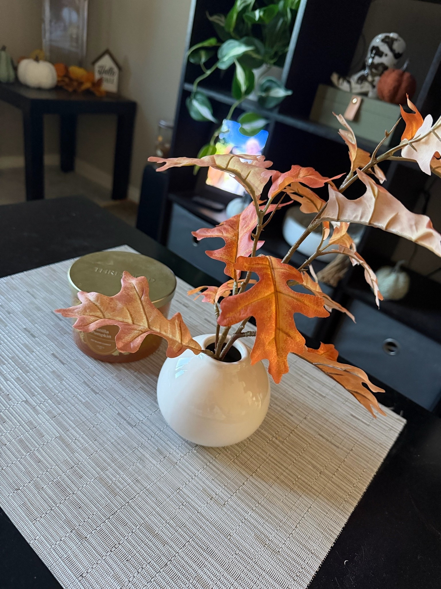 Picked up this cute fall plant and my favorite scents of candles are back and they have my Pura refills in the same scents

#LTKHome #LTKSeasonal