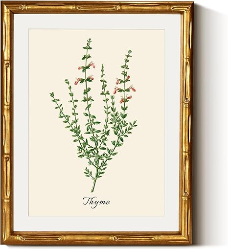 InSimSea Gold Bamboo Framed Canvas Wall Art, Vintage Watercolor Thyme Herbs Prints, Antique Pictu... | Amazon (US)