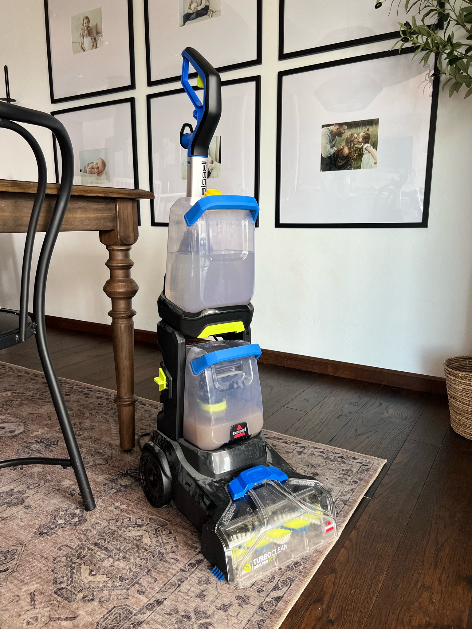 Of course the XL is out of stock right now, but I have the smaller one linked here! It’s THE BEST carpet cleaner ever and smells so good! 

#LTKHome #LTKFindsUnder100