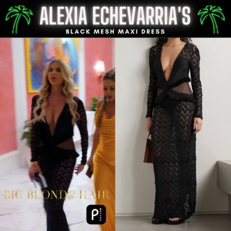 Hot Mesh // Get Details On Alexia Echevarria’s Black Mesh Maxi Dress With The Link In Our Bio #RHOM #AlexiaEchevarria 