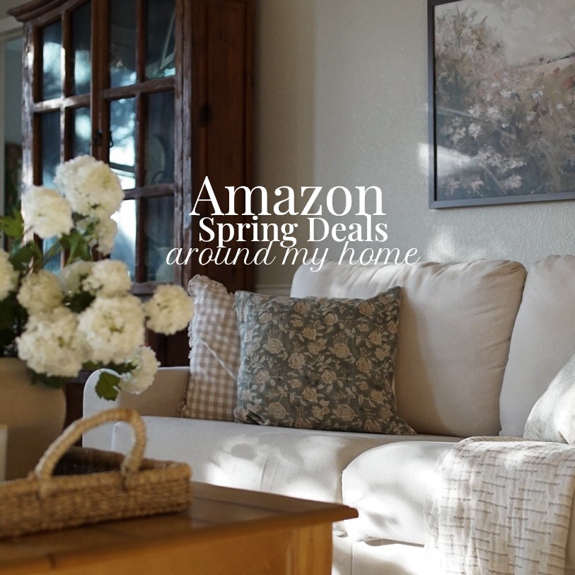 Amazon spring deals around my home, Amazon finds, Amazon budget decor, budget decor finds


#LTKSaleAlert #LTKHome