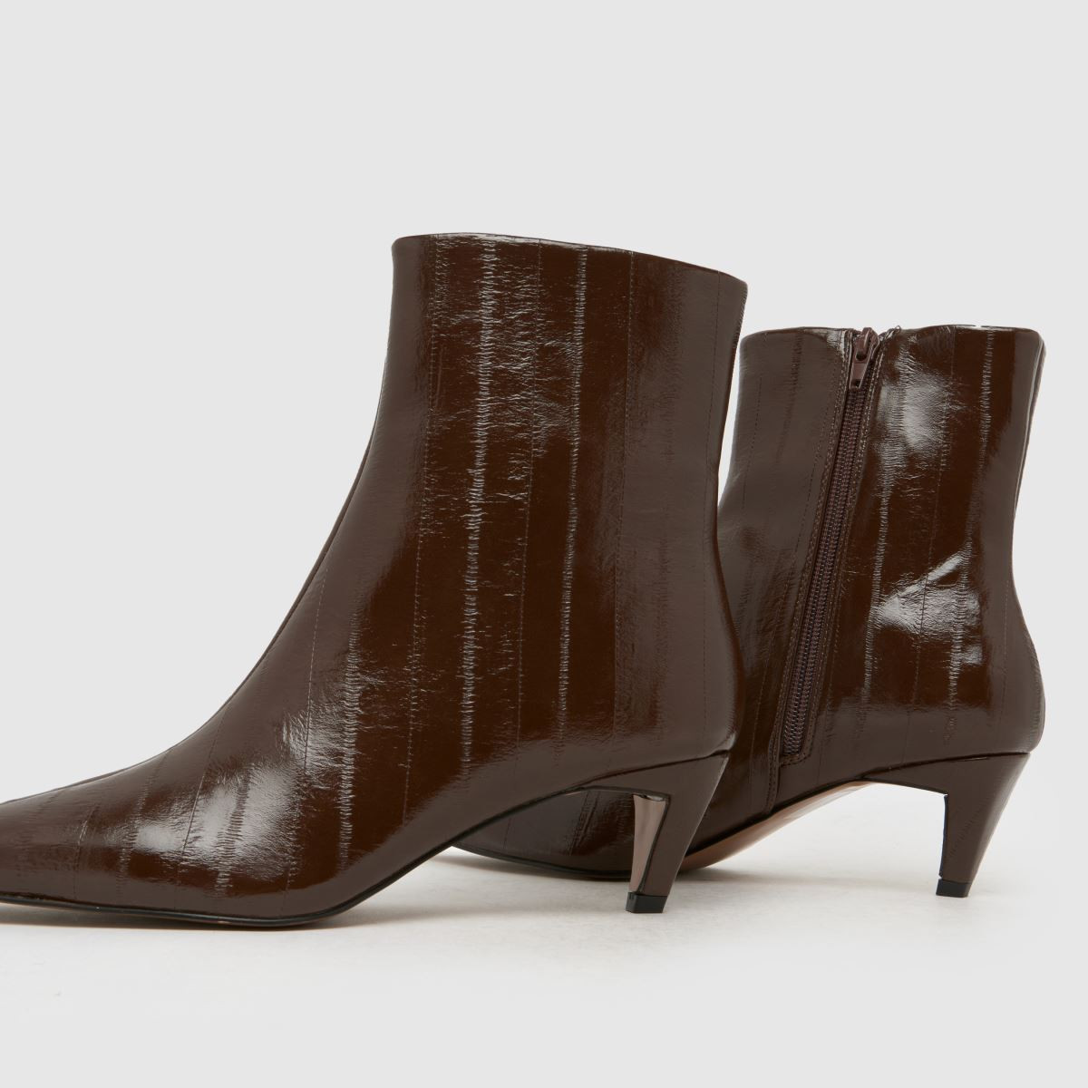 Womens Brown schuh Brooklyn Kitten Heel Boots | schuh | Schuh