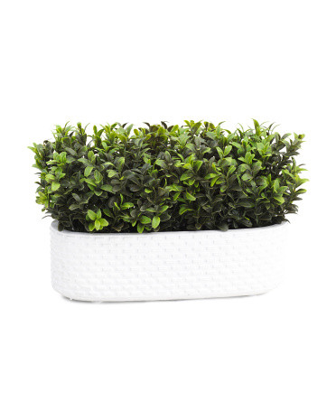 Boxwood In Cobblestone Ledge | TJ Maxx