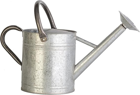 Panacea 086083 Vintage 1 Gallon Aged Galvanized Plant Container Accessories | Amazon (US)