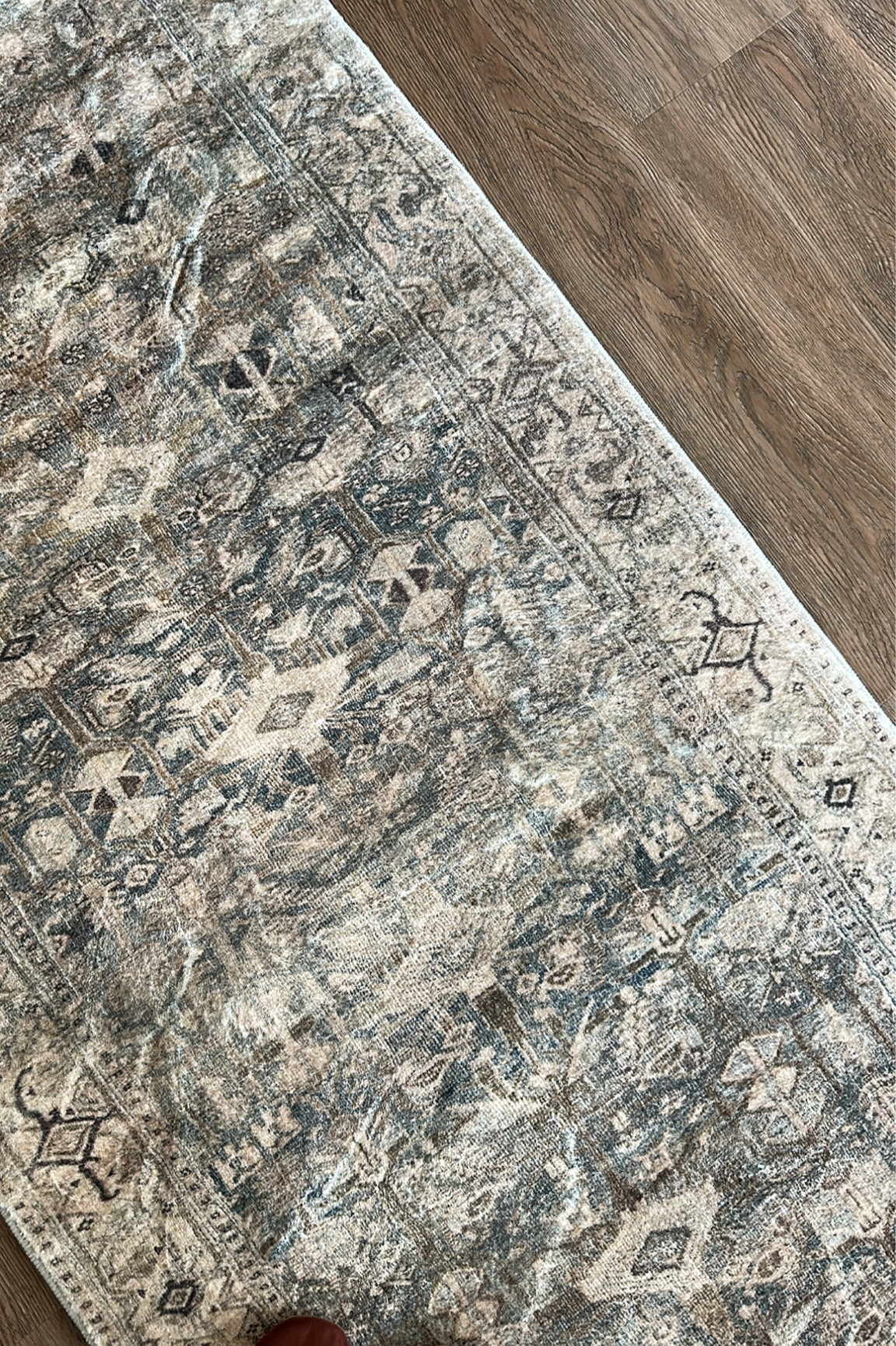 Loloi Antique Sage / antique forest MAT 04
Rug
Runner
Area rug
Loloi rugs 

#LTKHoliday #LTKhome #LTKSeasonal