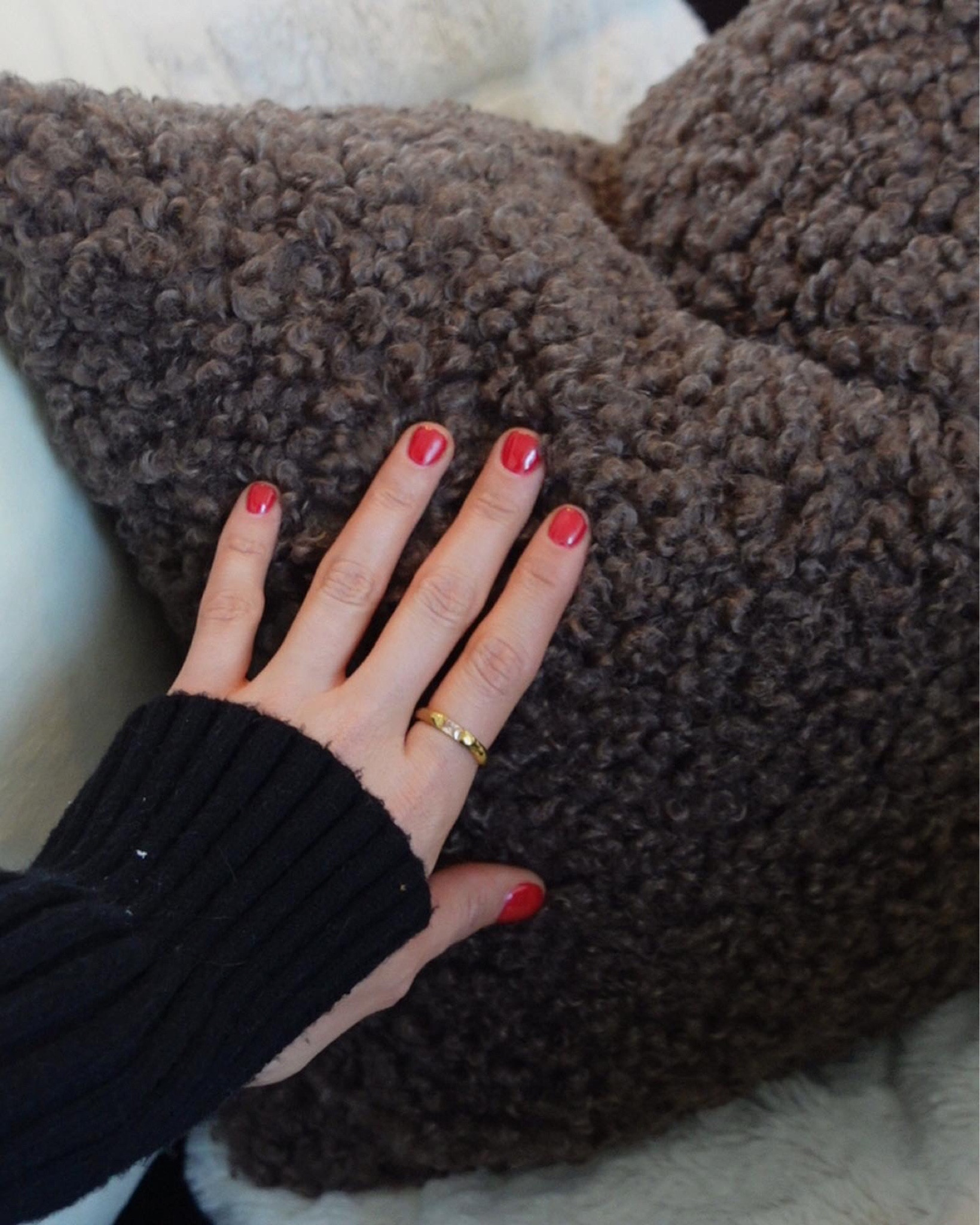 Amazon pillow cover and insert 

#LTKSeasonal #LTKhome #LTKHoliday