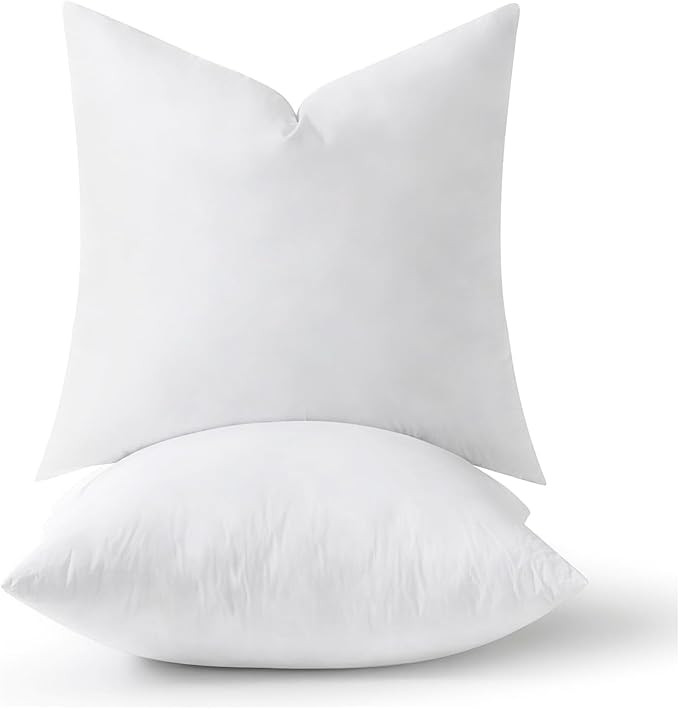 MIULEE 20x20 Pillow Inserts,Down Alternative Pack of 2 Decorative Throw Pillows for Sofa Couch Be... | Amazon (US)