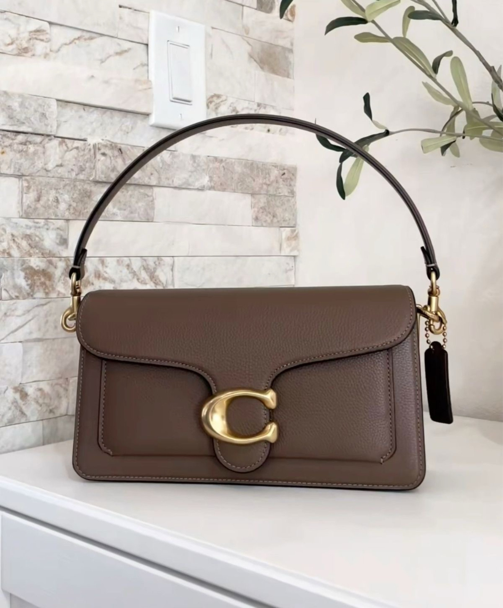 #coach #bag #shoulderbag #brown #stone #leather #gold #everydaybag #classy #tabby

#LTKSeasonal #LTKMostLoved