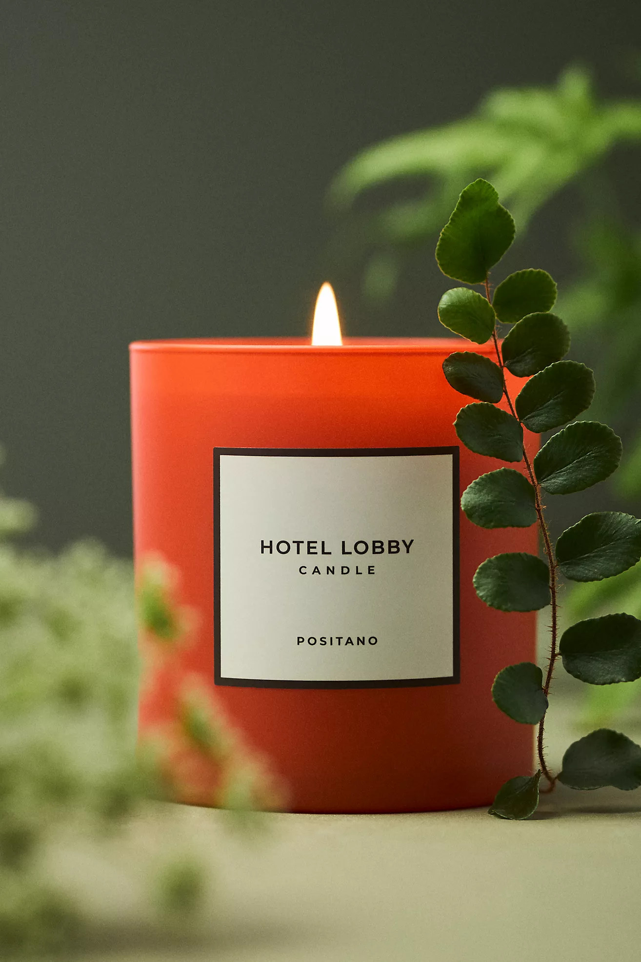 Hotel Lobby Fruity Positano Boxed Candle | Anthropologie (US)