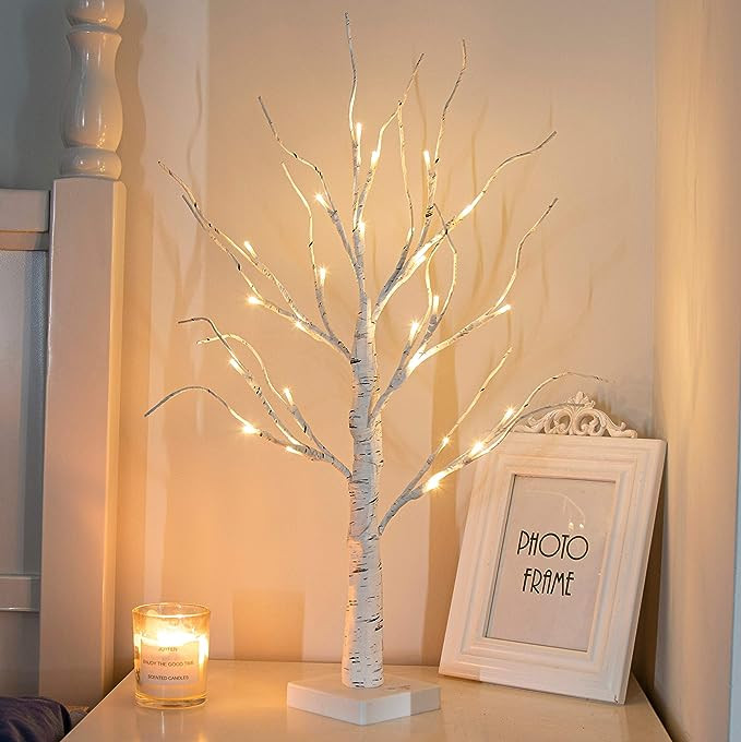 PEIDUO 24” 2FT 24LT Lighted Birch Tree Battery Powered Timer Warm White LED Artificial Branch T... | Amazon (US)