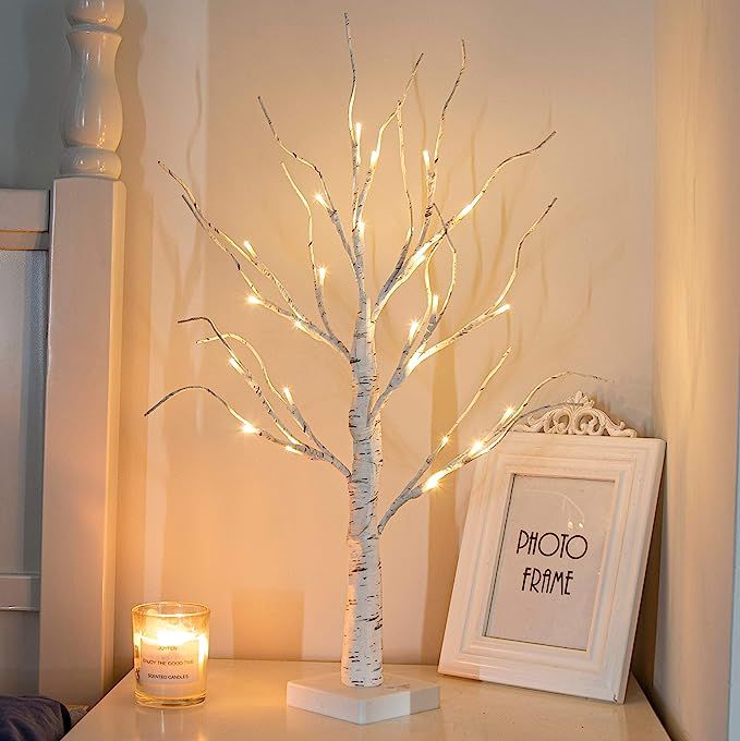 PEIDUO 24” 2FT 24LT Lighted Birch Tree Battery Powered Timer Warm White LED Artificial Branch T... | Amazon (US)
