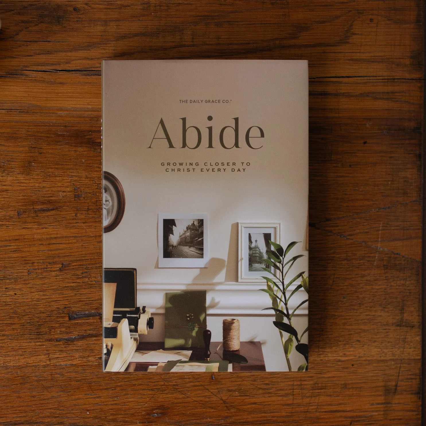 Abide Bible Study | The Daily Grace Co.