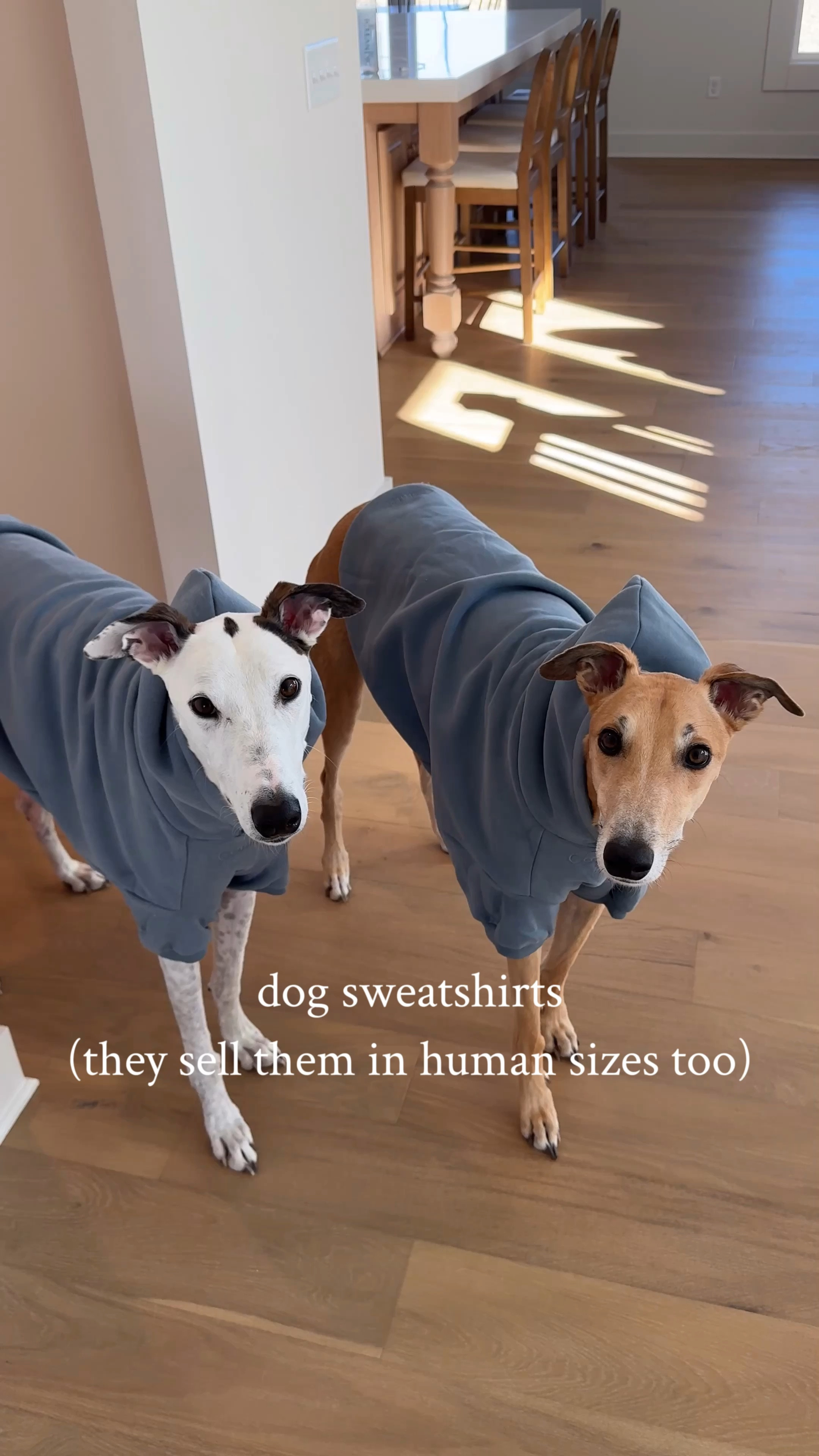 The cutest dog sweatshirts are on sale for $34!! Double the coziness, double the cuteness! 🐾✨ These Signature Paw Hoodie from Comfrt are here for you and your dog to twinning in style. Made from an ultra-soft cotton blend with a slight weight that feels like a hug, these hoodies are perfect for cozy cuddles and walks. 🐕❤️ Durable, 4-way stretch, and designed for the best fit - your pup will be ready for every adventure in style! 

Signature Paw Hoodie, Twinning With My Dog, Comfrt Brand, Dog Style, Cozy Dogs, Pet Fashion, Comfortable And Cute, Matching Outfits, Dog Hoodie, Pet Apparel, Furry Fashion, Pet Love