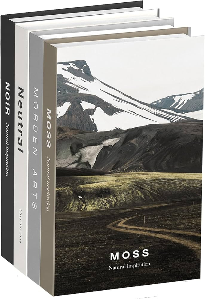 4 Pcs Decorative Books for Home Decor, Fake Books for Living Room Decor Aesthetic, Faux Books Dec... | Amazon (US)