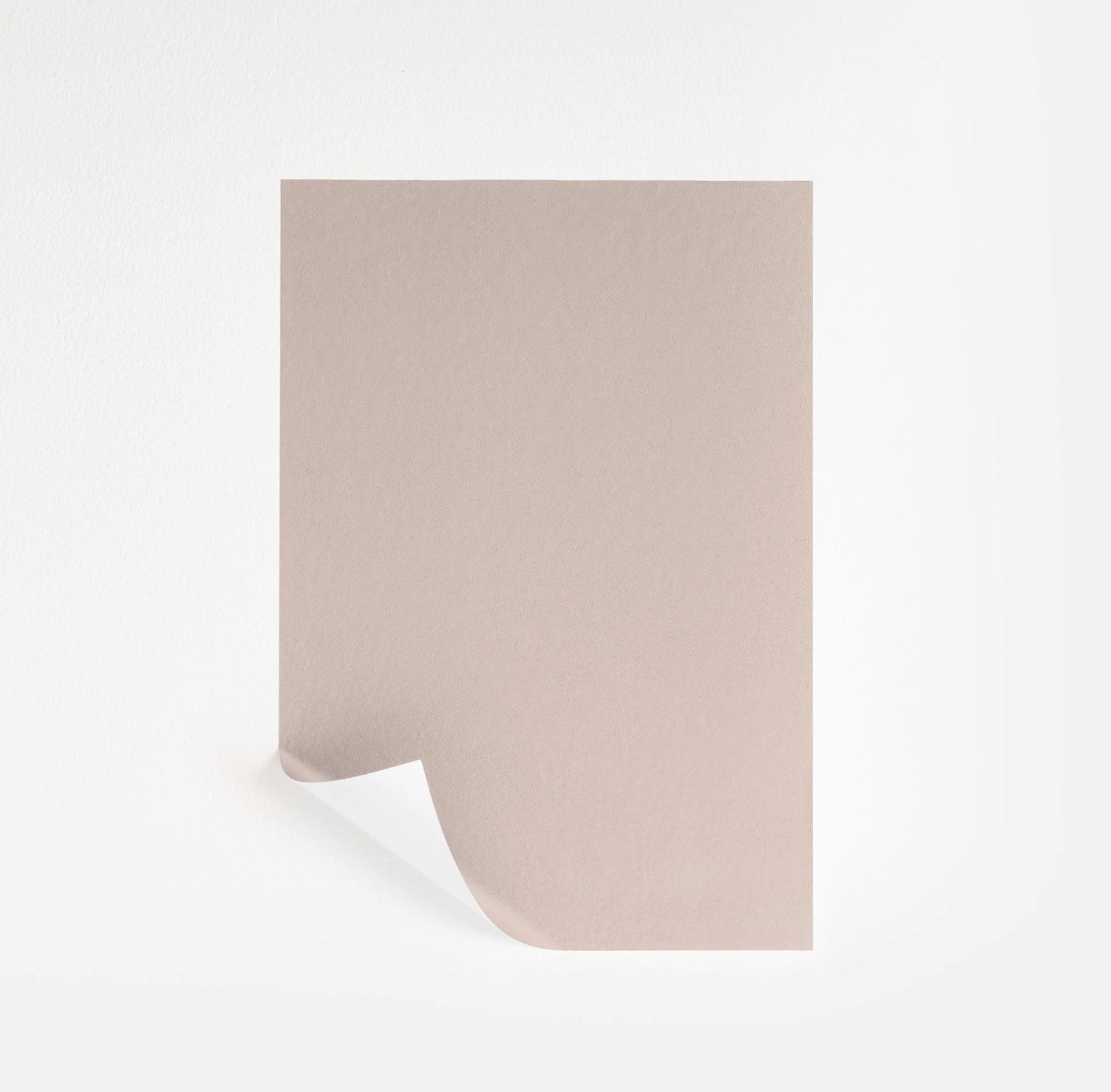 Misty Blush  Paint Sample | Samplize
