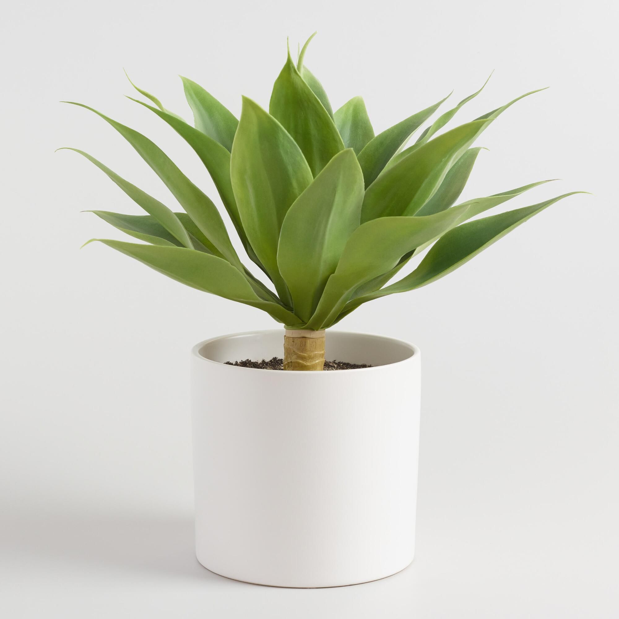 Faux Potted Agave Plant: Green by World Market | World Market