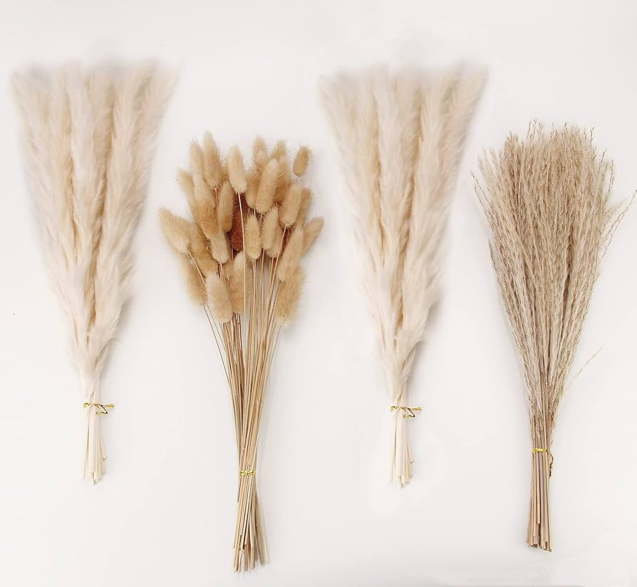 Natural Dried Pampas Grass Decor, White Pampas Grass， Bunny Tails Dried Flowers, Reed Grass Bou... | Amazon (US)