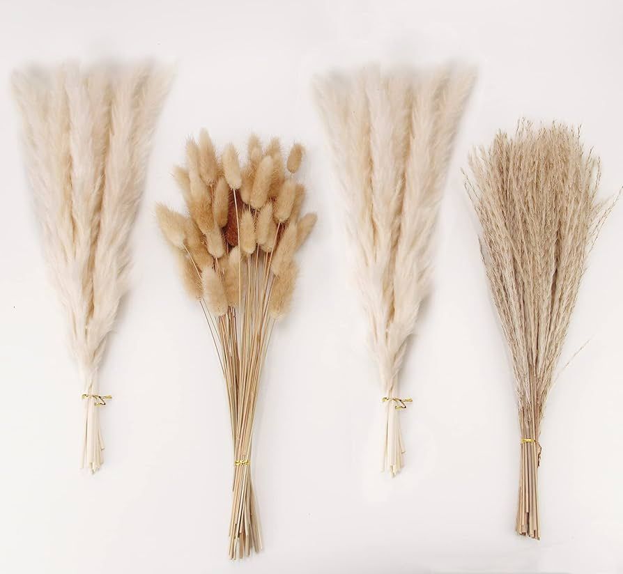 Natural Dried Pampas Grass Decor, White Pampas Grass， Bunny Tails Dried Flowers, Reed Grass Bou... | Amazon (US)