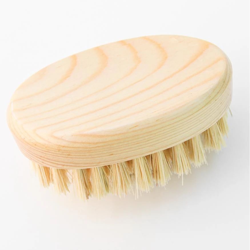 Dry Brush | Bed Bath & Beyond