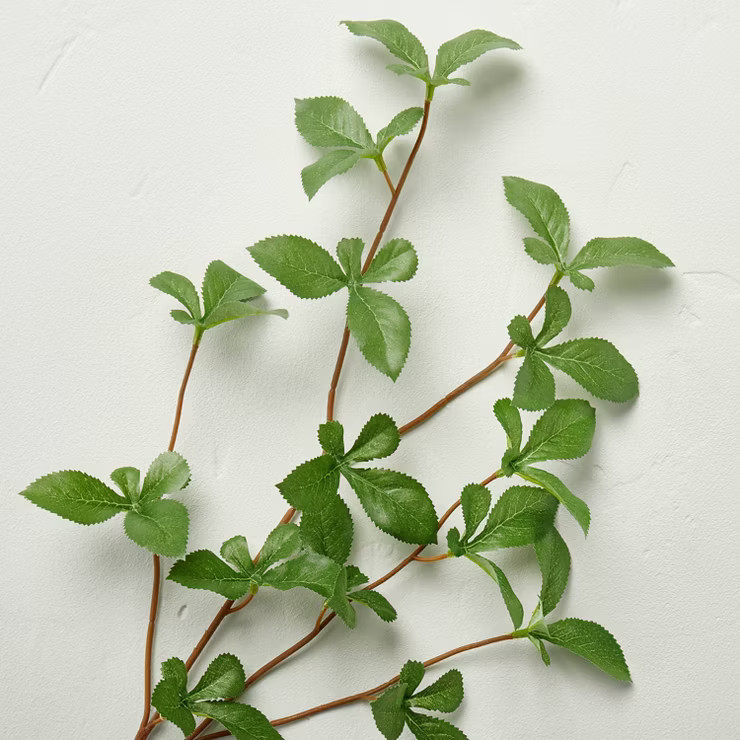 Faux Gypsophila Leaf Stem - Hearth & Hand™ with Magnolia | Target