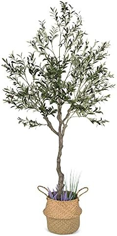 Phimos Artificial Olive Tree Tall Fake Potted Olive Silk Tree with Planter Large Faux Olive Branc... | Amazon (US)
