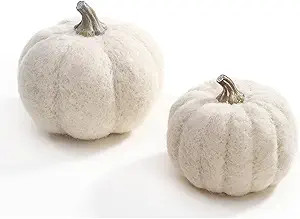 DN DECONATION White Pumpkin Decor, Fabric Pumpkin Set of 2, Pumpkins as Table Centerpiece for Fal... | Amazon (US)