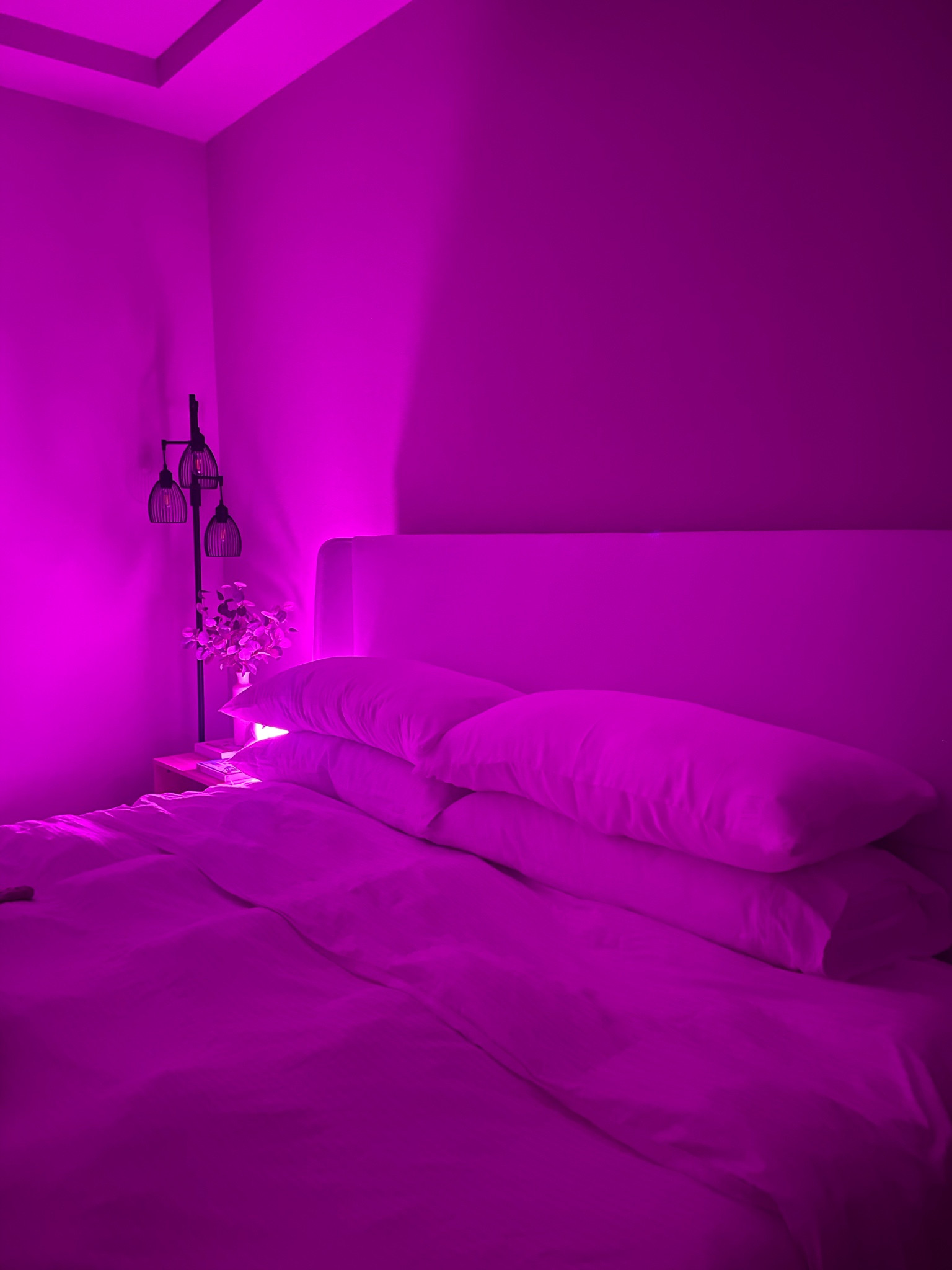 My favorite Dekala alarm clock. Has so many options for noises & is the best night light. Does all the same as hatch for half the price 👏🏼

#LTKhome #LTKfindsunder100