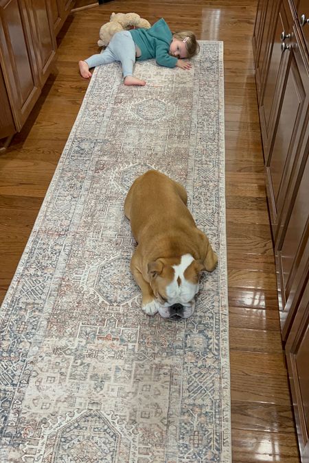 Kitchen runner that everyone loves to sleep on 🙃

#LTKhome #LTKfamily