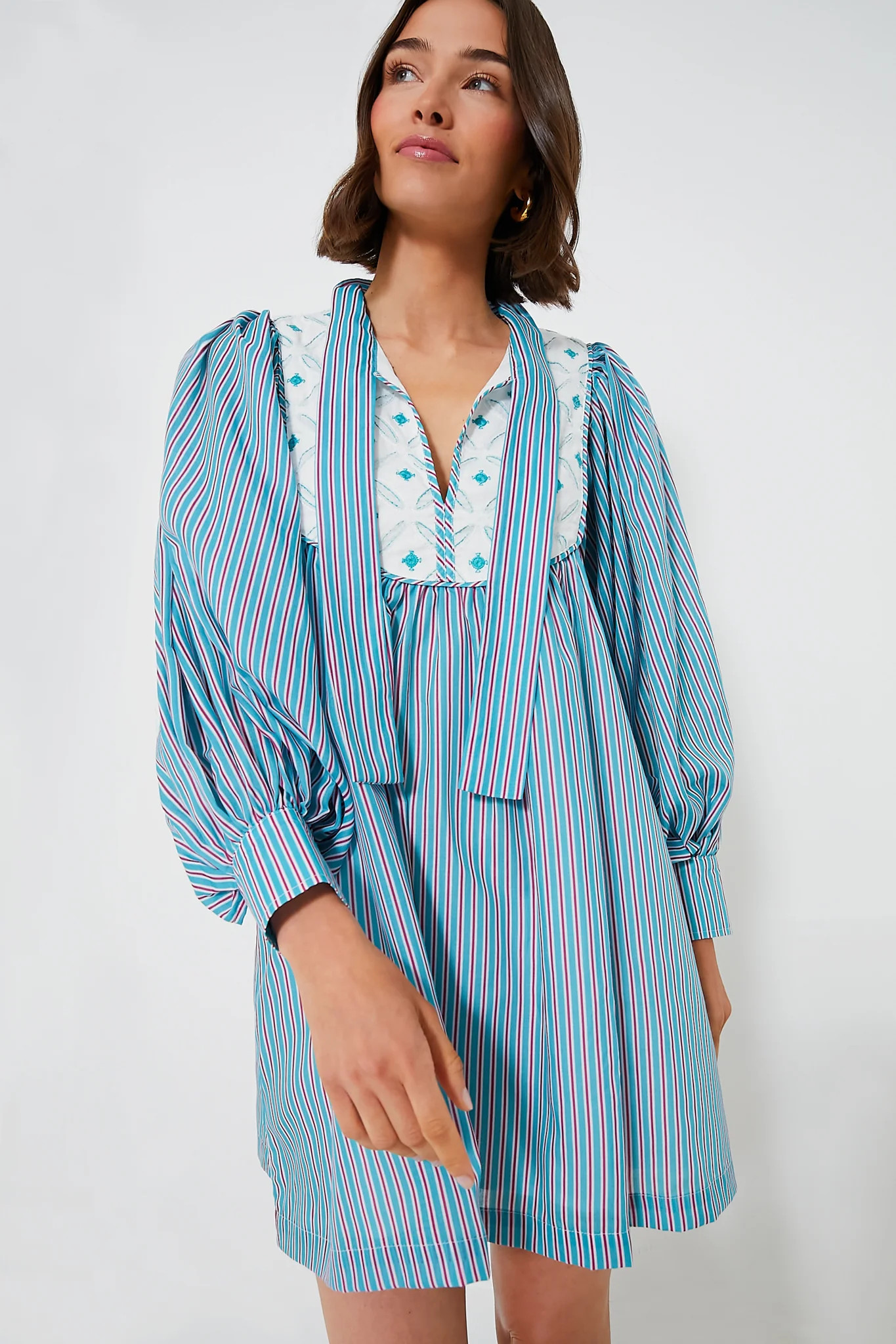 Blue Stripe Juliette Dress | Tuckernuck (US)