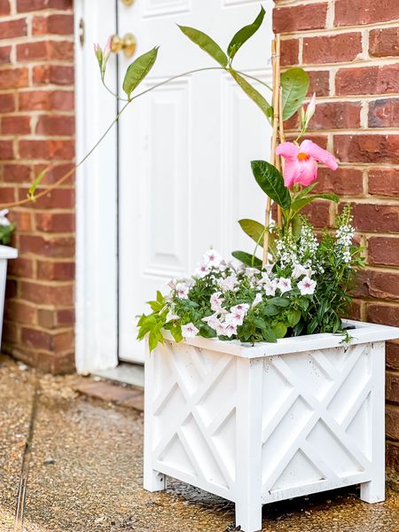 These square planters are great additions to any home. They look great on either side of our exterior garage door.

#LTKhome #LTKfindsunder50