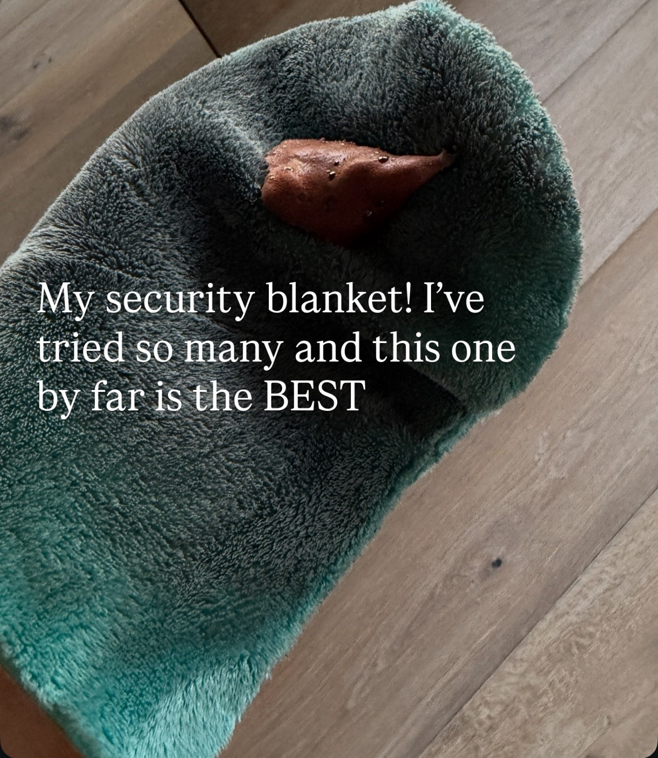 9 things worth packing on your next vacation… BTW when I’m feeling insecure slide 9 saves the day! 

#LTKgrwm #LTKBeauty #LTKTravel