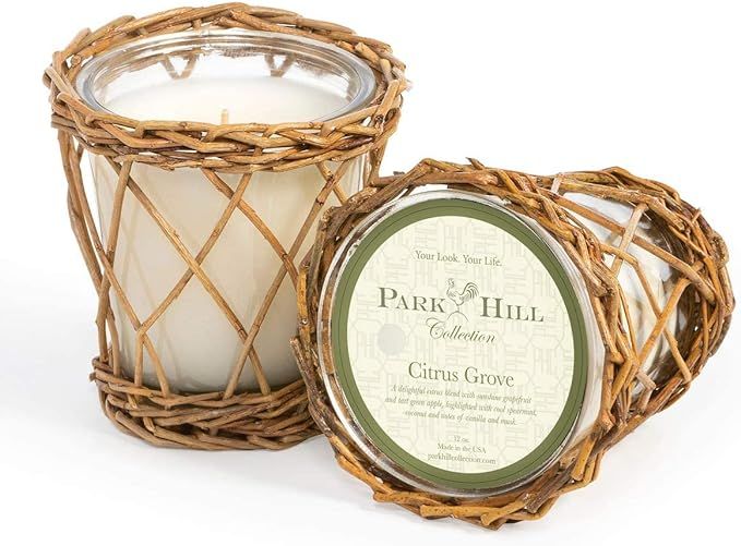 Park Hill Collection ENP10021 Willow Scented Candle, 4-inch Height (Citrus Grove) | Amazon (US)