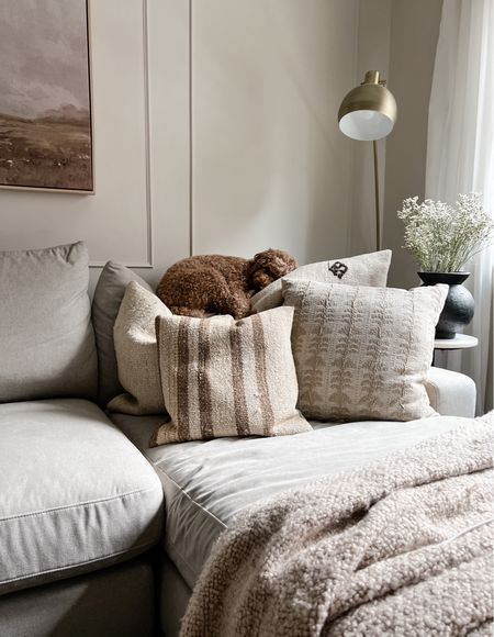 I love this recent shot of my living room decor - Timmy loves the throw pillows as much as I do! 

#LTKhome #LTKFind