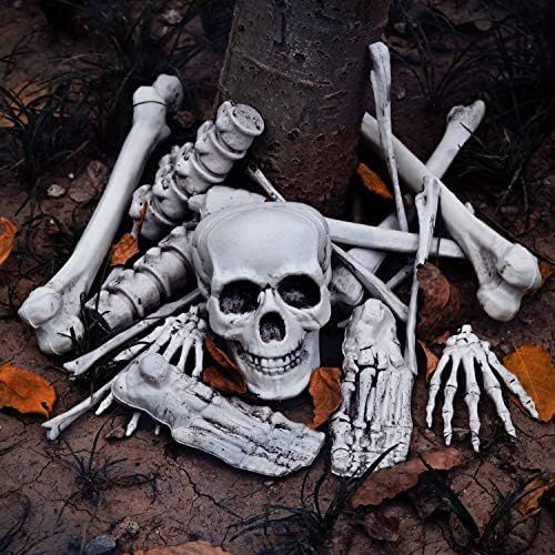 FUN LITTLE TOYS Halloween Bag of Skeleton Bones and Skull, 18 PCs Bag of Bones for Outdoor Hallow... | Amazon (US)